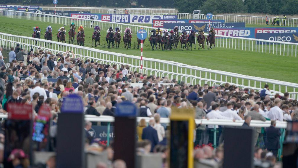 Revealed: the real cost of the huge fall in racing betting turnover
