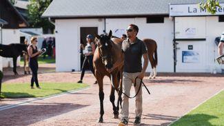 ‘You can’t just set fire to money’ - buyers lift the lid on their yearling sales strategy